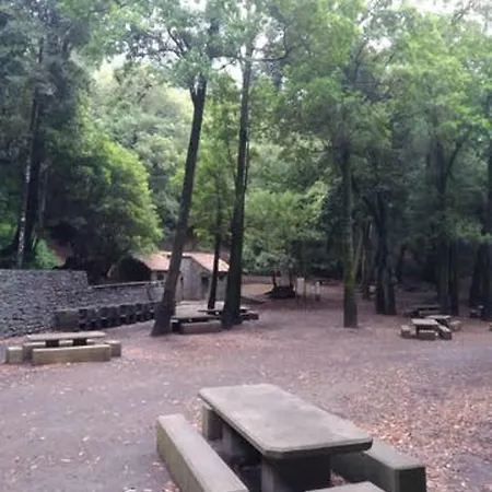 Holiday Camino Las Mercedes *