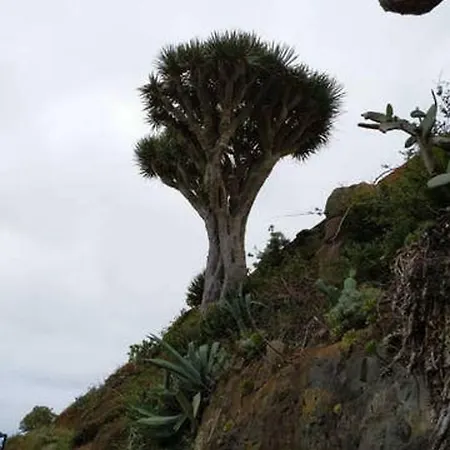 Dom wakacyjny Holiday Camino Las Mercedes La Laguna (Tenerife)