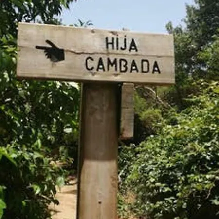 Holiday Camino Las Mercedes La Laguna (Tenerife)